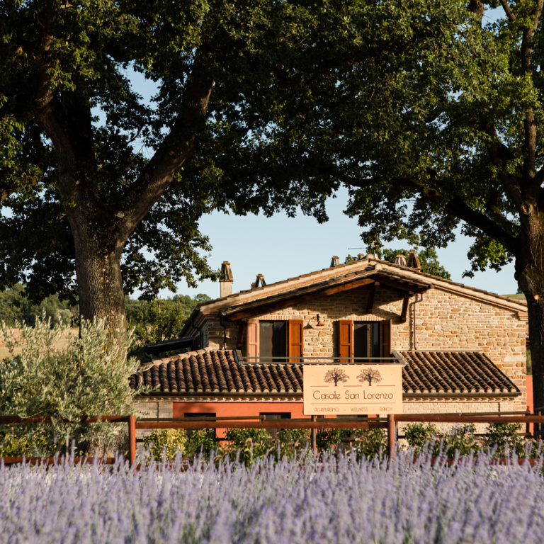 antico casale san lorenzo in campo marche in vendita casale di lusso